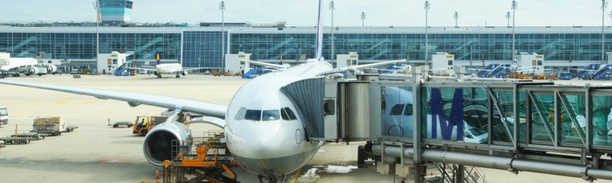 Plane At Airport Stand